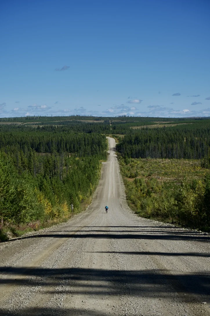 A lone cyclist riding a long gravel road through Alberta forest