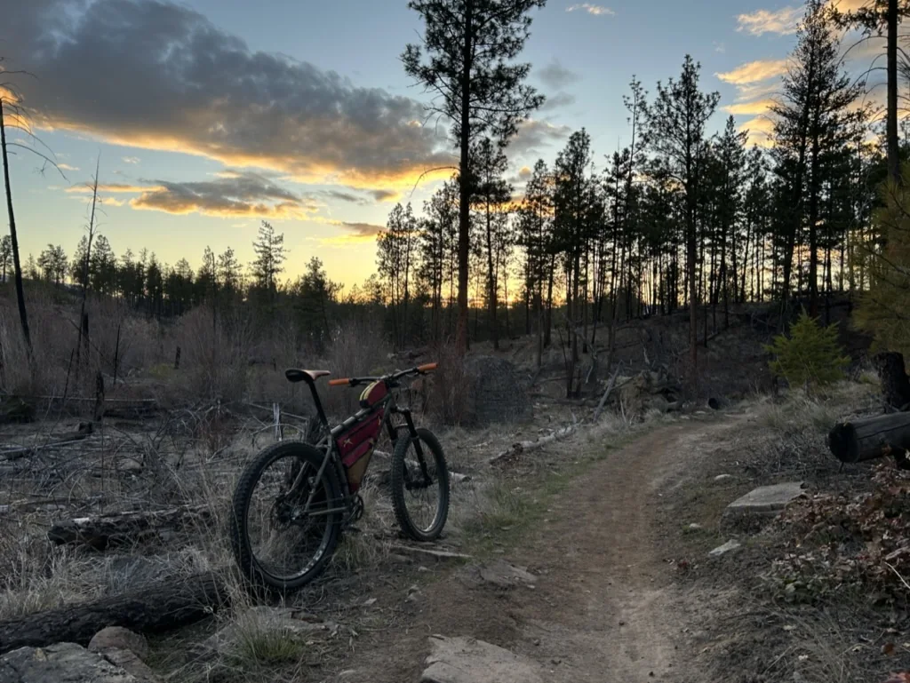 Loaded bike stopped on a rough forest trail at dusk