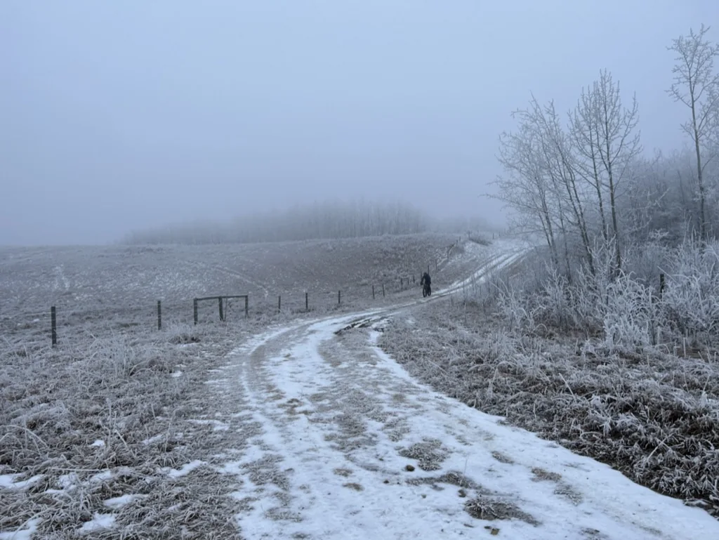 A cyclist on a foggy snow-covered Alberta backroad