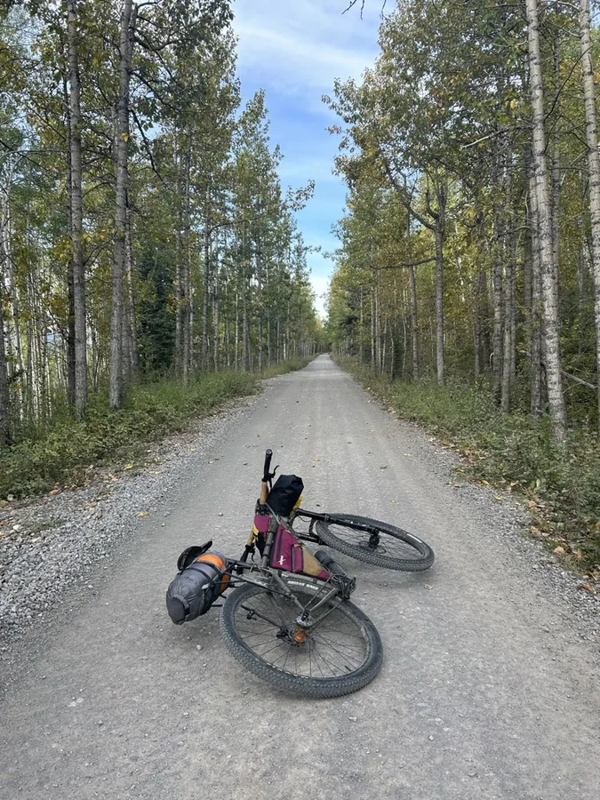 A loaded bike on a straight gravel road through an aspen forest