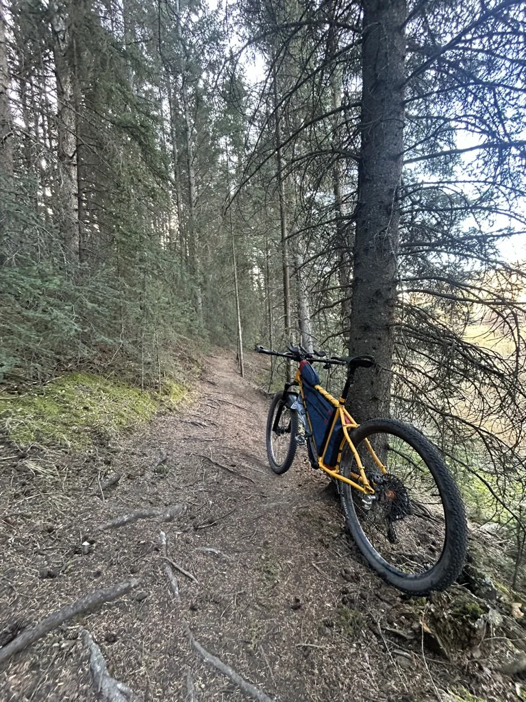 A loaded bike stopped on a narrow forest trail